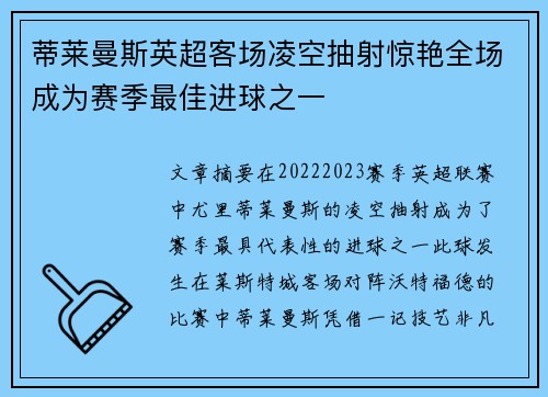 蒂莱曼斯英超客场凌空抽射惊艳全场成为赛季最佳进球之一